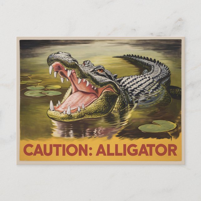 Alligator Caution Illustration Vintage Inspired Postcard (Front)