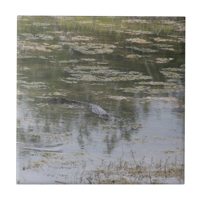 Alligator Ceramic Tile (Front)