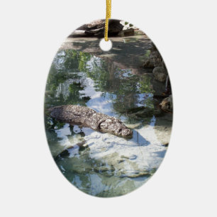 Alligator Ceramic Tree Decoration