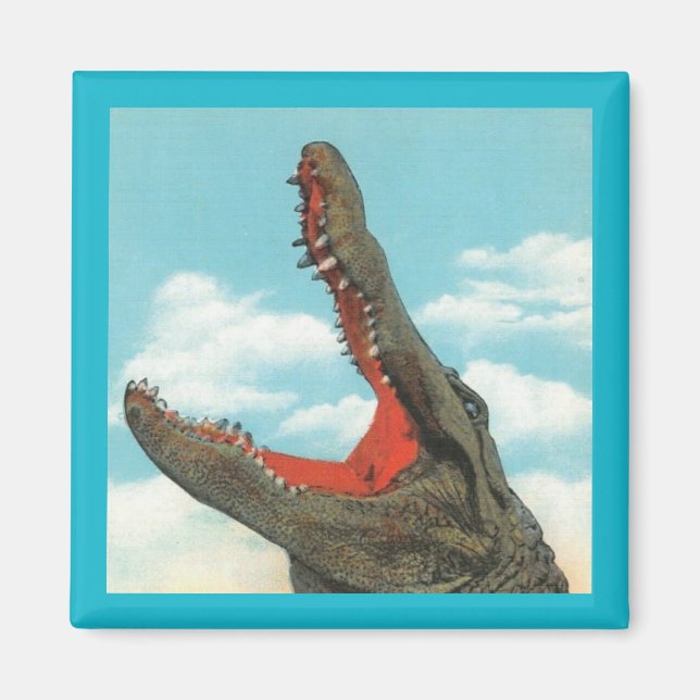 Alligator Chomp Magnet (Front)