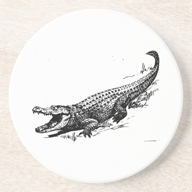 Alligator Coaster (Front)