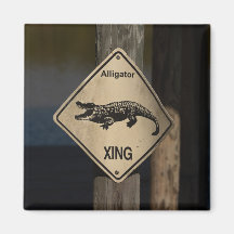 Alligator Crossing Magnet