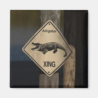 Alligator Crossing Magnet