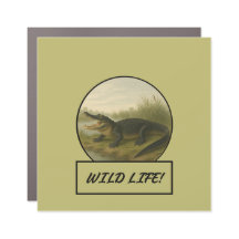 Alligator Dark Khaki Car/Truck Magnet