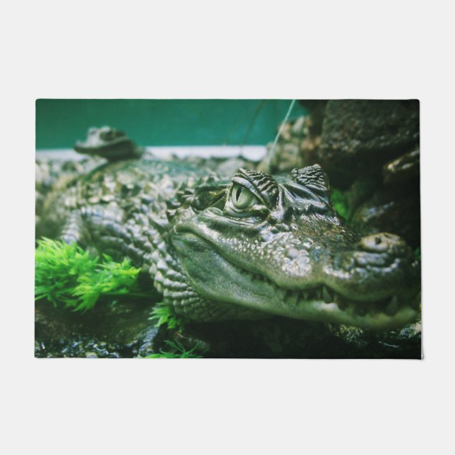 Alligator Doormat (Front)