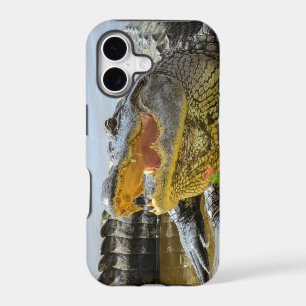 Alligator. Face to face