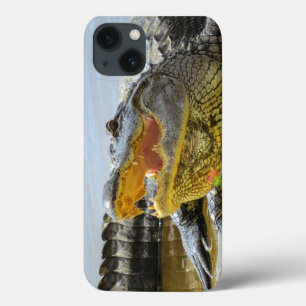 Alligator. Face to face iPhone 13 Case