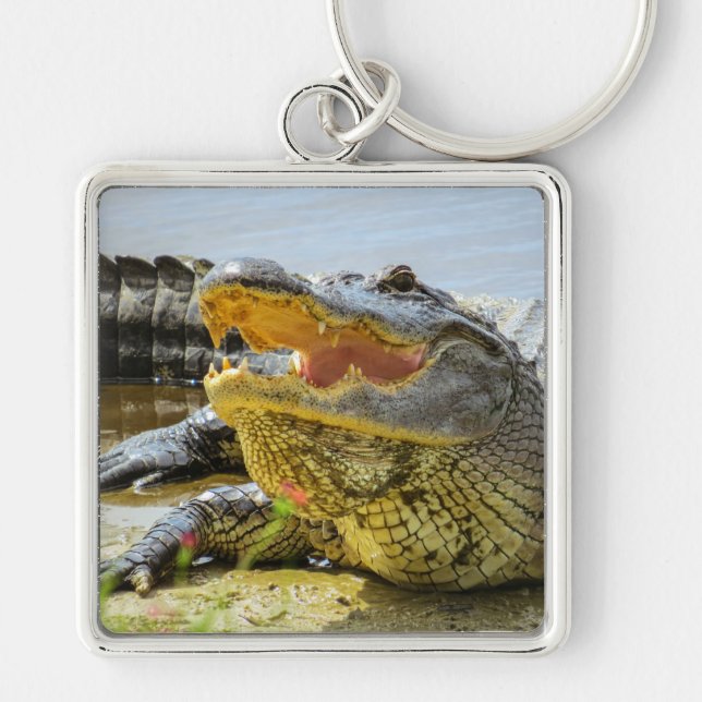 Alligator. Face to face Key Ring (Front)