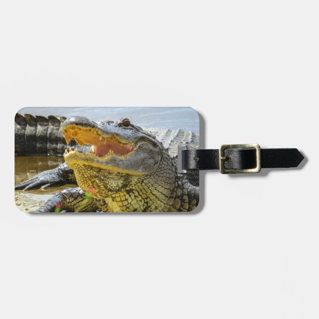 Alligator. Face to face Luggage Tag (Front Horizontal)