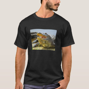 Alligator. Face to face T-Shirt