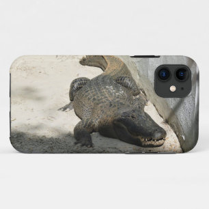 Alligator, Fort Lauderdale, Florida Case-Mate iPhone Case