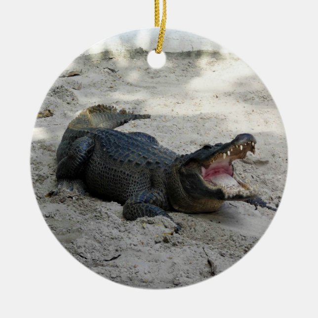 Alligator, Fort Lauderdale, Florida Ceramic Tree Decoration (Front)