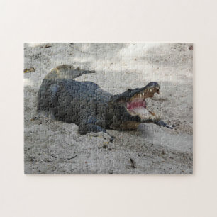 Alligator, Fort Lauderdale, Florida Jigsaw Puzzle