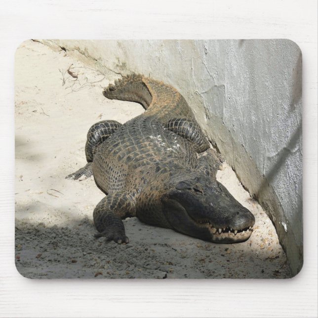 Alligator, Fort Lauderdale, Florida Mouse Pad (Front)