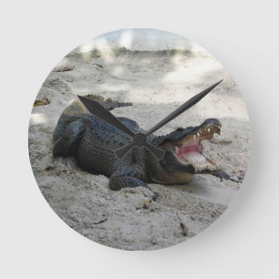 Alligator, Fort Lauderdale, Florida Round Clock