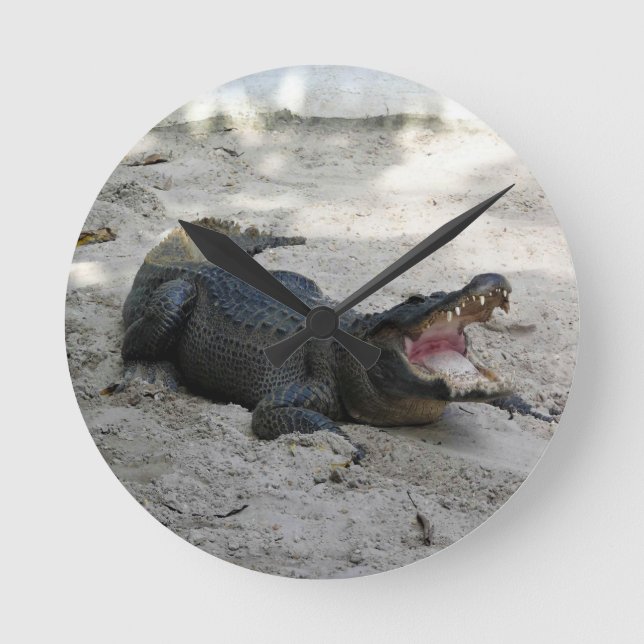 Alligator, Fort Lauderdale, Florida Round Clock (Front)