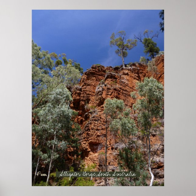 Alligator gorge's red piling rocks poster (Front)