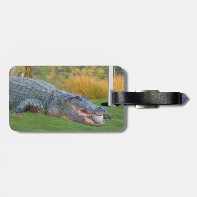Alligator, Hazardous Lie in Golf Luggage Tag (Back Horizontal)