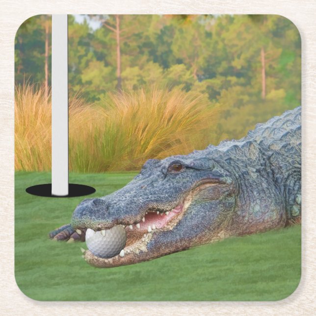 Alligator, Hazardous Lie on Golf Course Square Paper Coaster (Front)