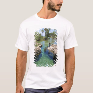 Alligator Hole, Black River Town, Jamaica T-Shirt