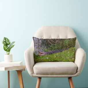 Alligator in Florida Wetlands Grass Lumbar Cushion