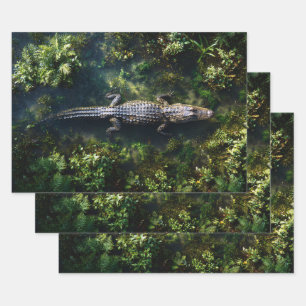 Alligator in Shallow Wetland Water Wrapping Paper Sheet