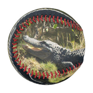 Alligator in the Sun Baseball
