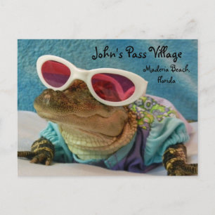 Alligator John's Pass Maderia Beach Post Card