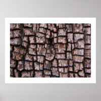 Alligator Juniper Bark