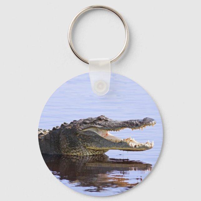 Alligator Key Ring (Front)