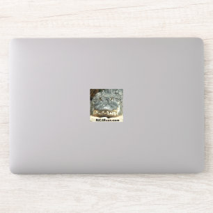 Alligator Laptop Sticker from NC4Ever.com