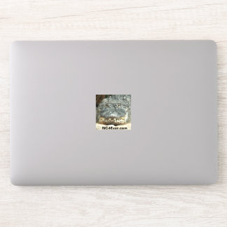 Alligator Laptop Sticker from NC4Ever.com