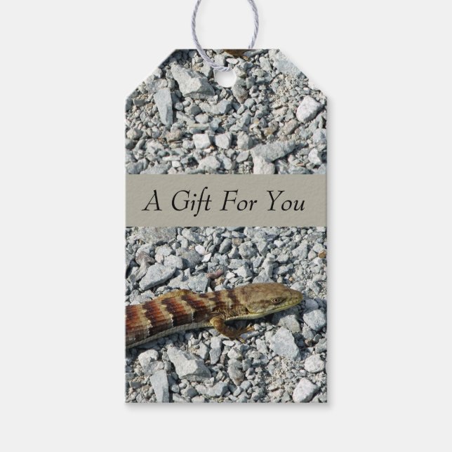 Alligator Lizard Gift Tags (Front)