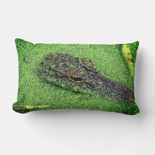 Alligator Lumbar Cushion (Front)