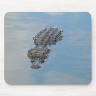 alligator mouse pad