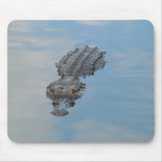 alligator mouse pad
