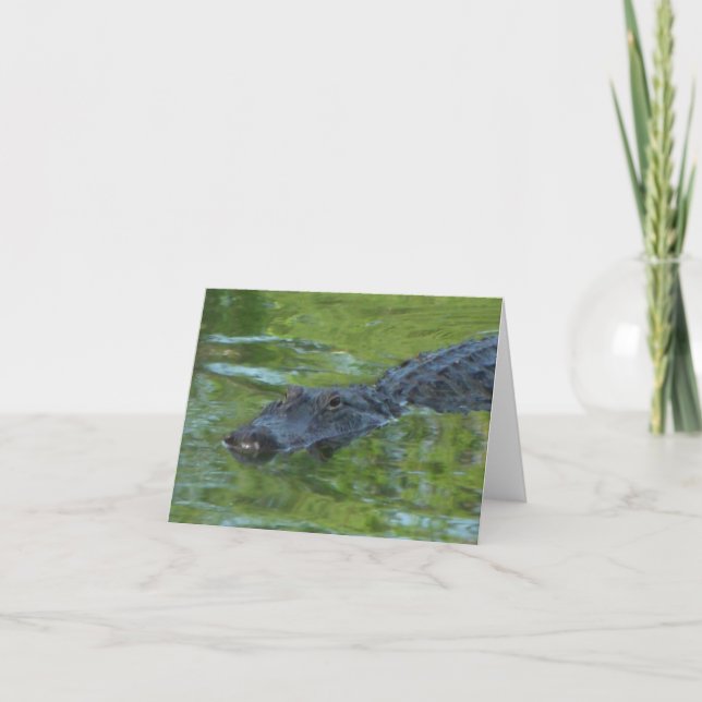 Alligator Photo Folded Note Card (Front)