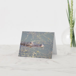 Alligator Photo Folded Note Card