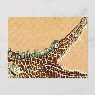 Alligator Postcard