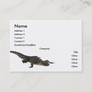 Alligator Profile Card