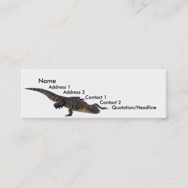 Alligator Profile Card (Front)