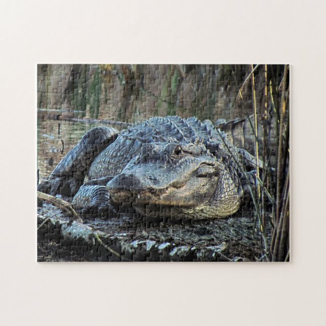 Alligator Puzzle (Horizontal)