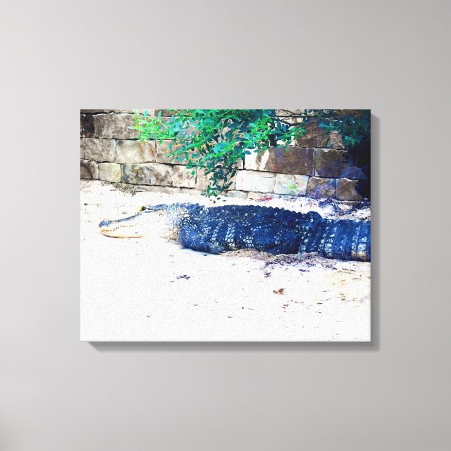 Alligator Resting by Stone Wall Canvas Print (Front)
