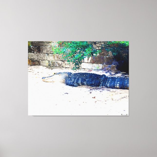 Alligator Resting by Stone Wall Canvas Print (Front)