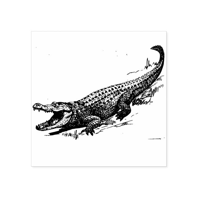 Alligator  Rubber Stamp (Imprint)