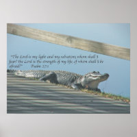Alligator Scripture