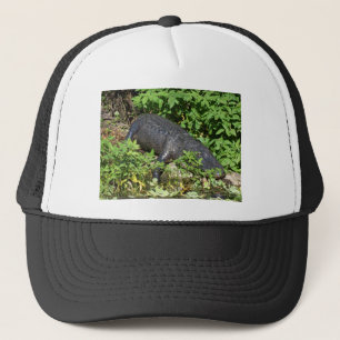 Alligator Silver River Trucker Hat