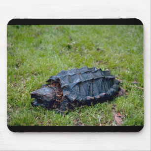 Alligator Snapping Turtle Mouse Pad