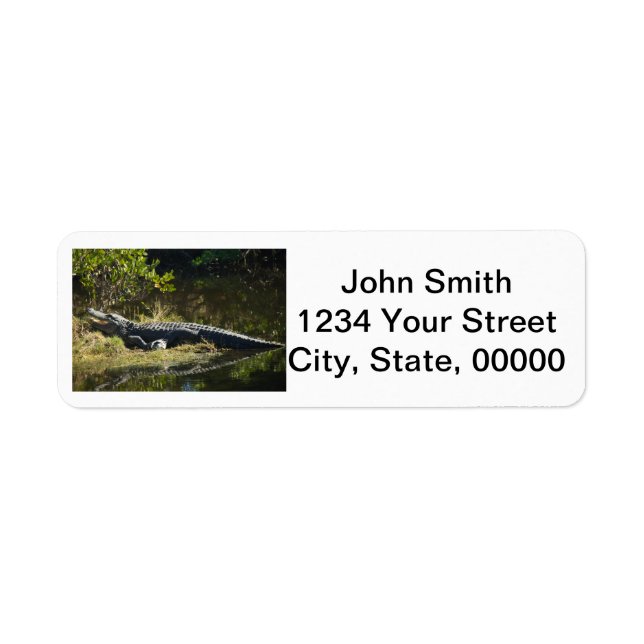 Alligator Sunbathing Personalise Return Address (Front)
