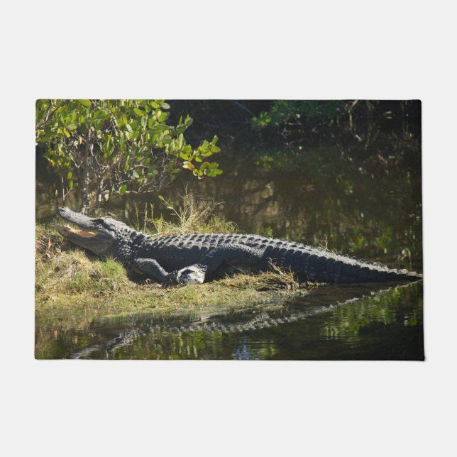 Alligator Sunning on Marsh Bank Doormat (Front)